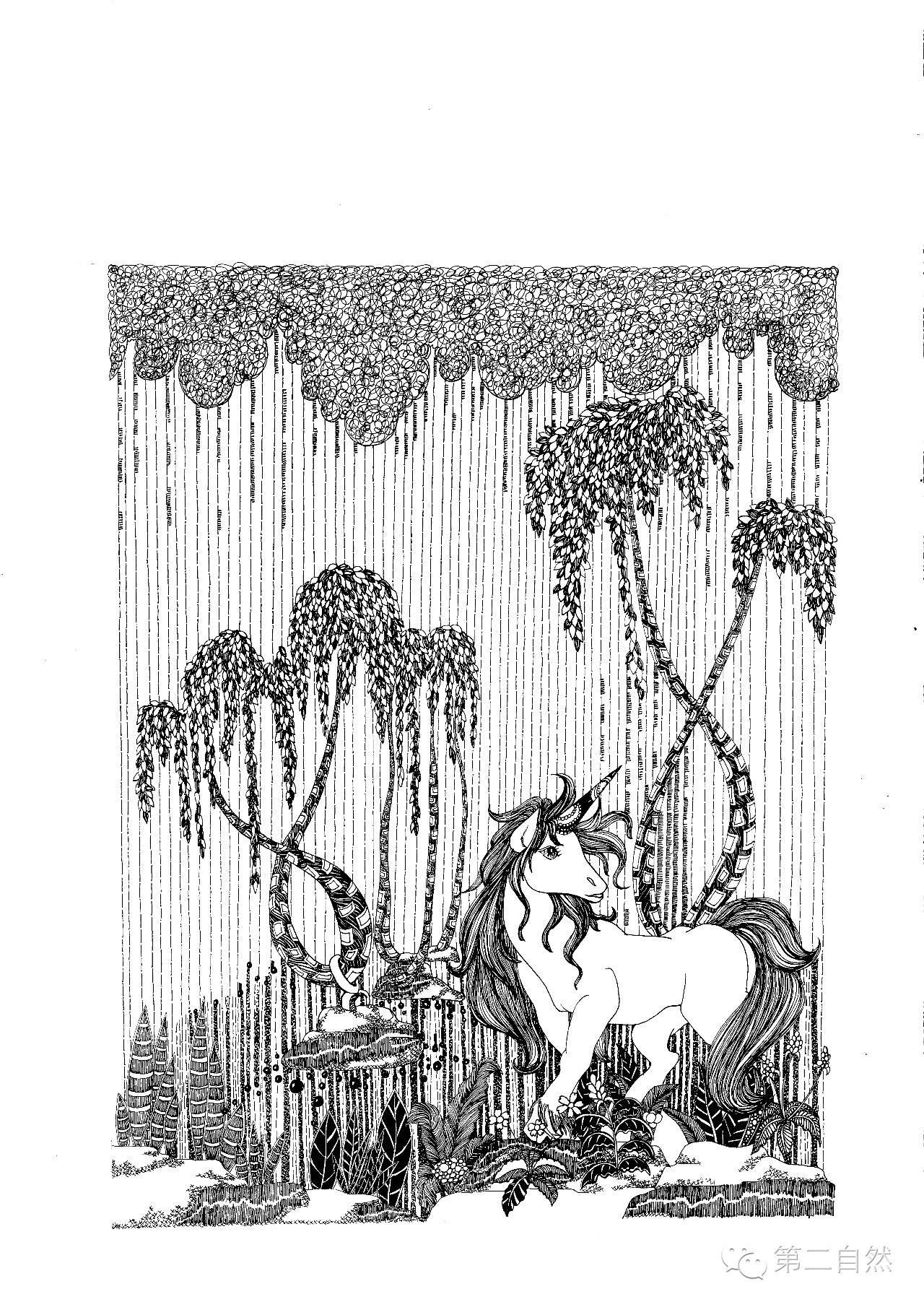 魔法森林经典故事,魔法森林故事视频