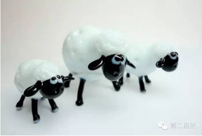 魔法森林经典故事,魔法森林故事视频