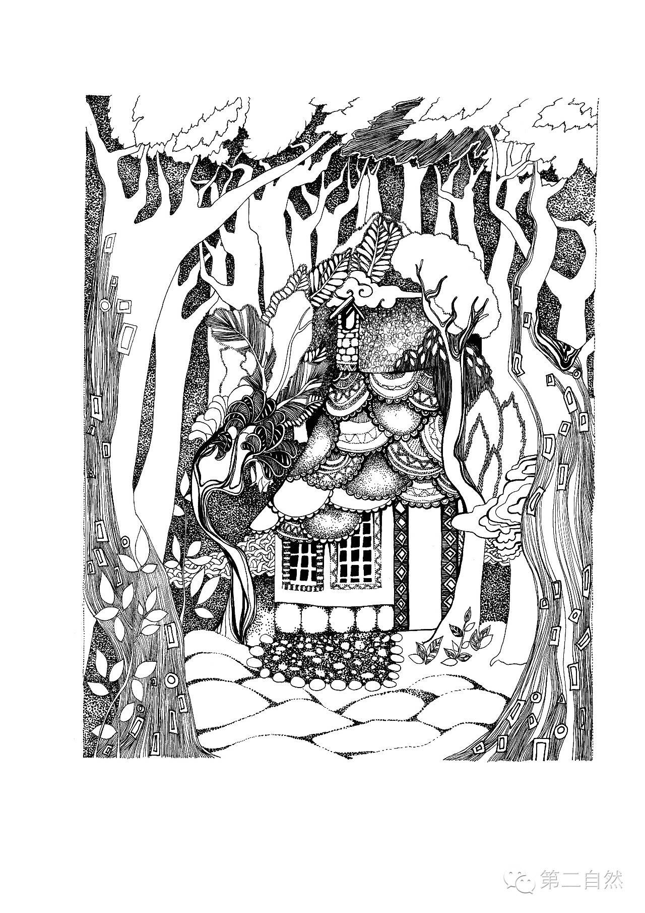 魔法森林经典故事,魔法森林故事视频