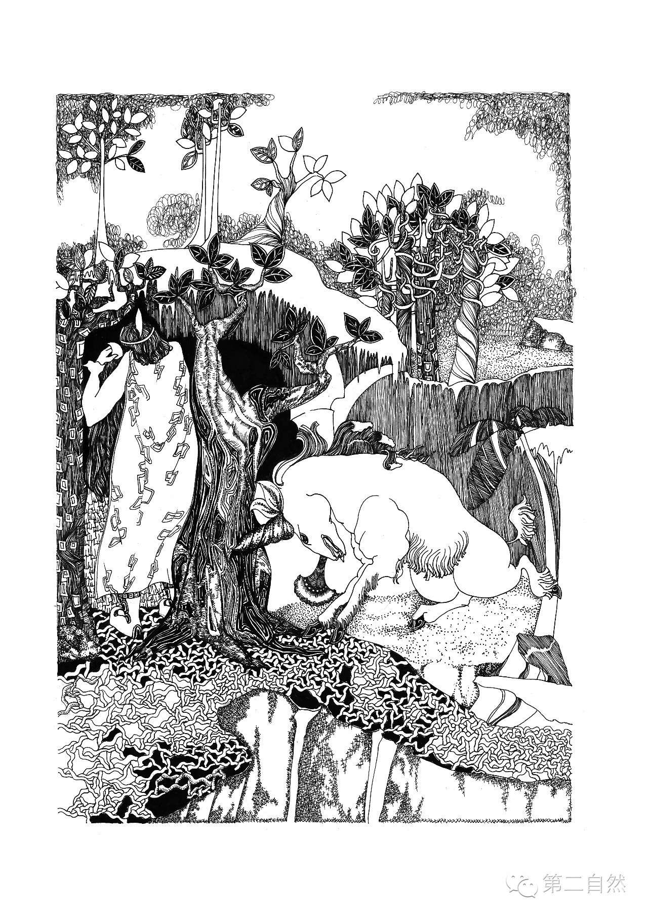 魔法森林经典故事,魔法森林故事视频