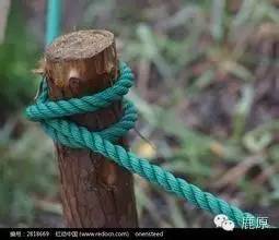 鹿原小说‖王存喜：短篇小说七章