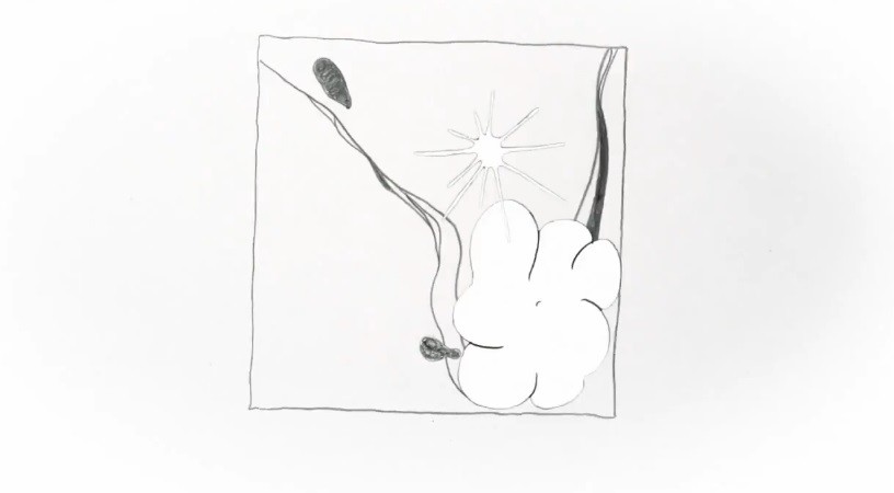 霸权动漫电影,霸权动画上海电影节