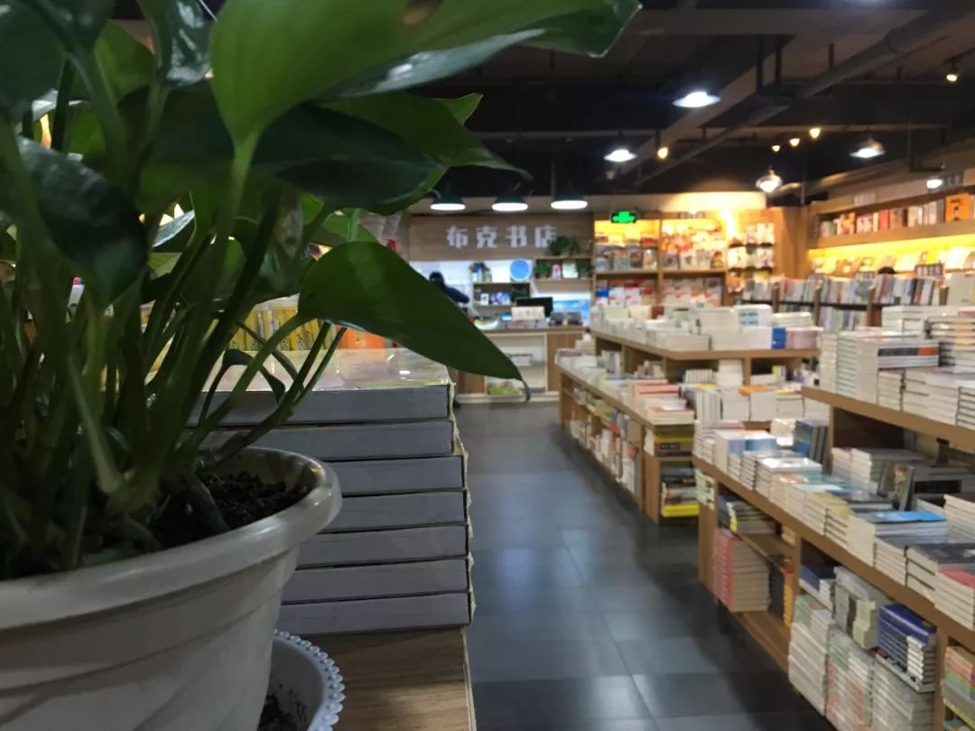 百花、先锋、花鸟市场的露天书摊……徐州的书店这些年经历了什么？