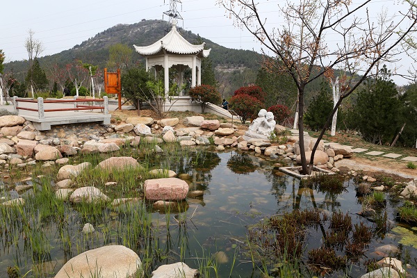 佛慧山风景区规划,凤凰山山体公园最新规划