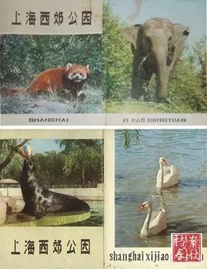 上海西郊公园90年代,以前上海西郊公园在哪里
