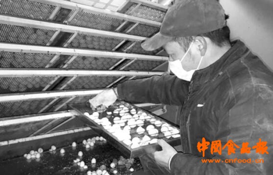 养鸽走上脱贫致富路,退伍兵哥回乡养鸽带动200村民就业