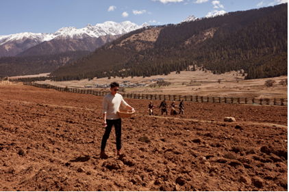 郑恺自然堂小视频,郑恺跑男挑战30米哪期