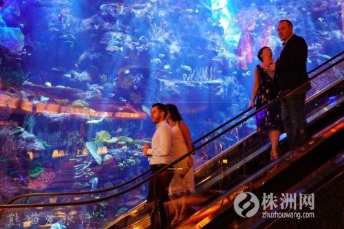 阿联酋迪拜有多奢华,迪拜真实的奢侈生活