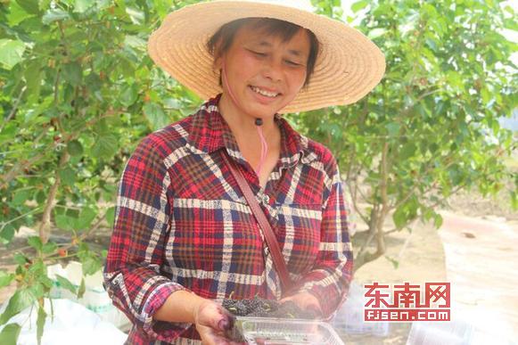 福建省莆田市华亭镇涧口村视频,幸福村的故事