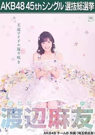 akb总选举,akb选举视频