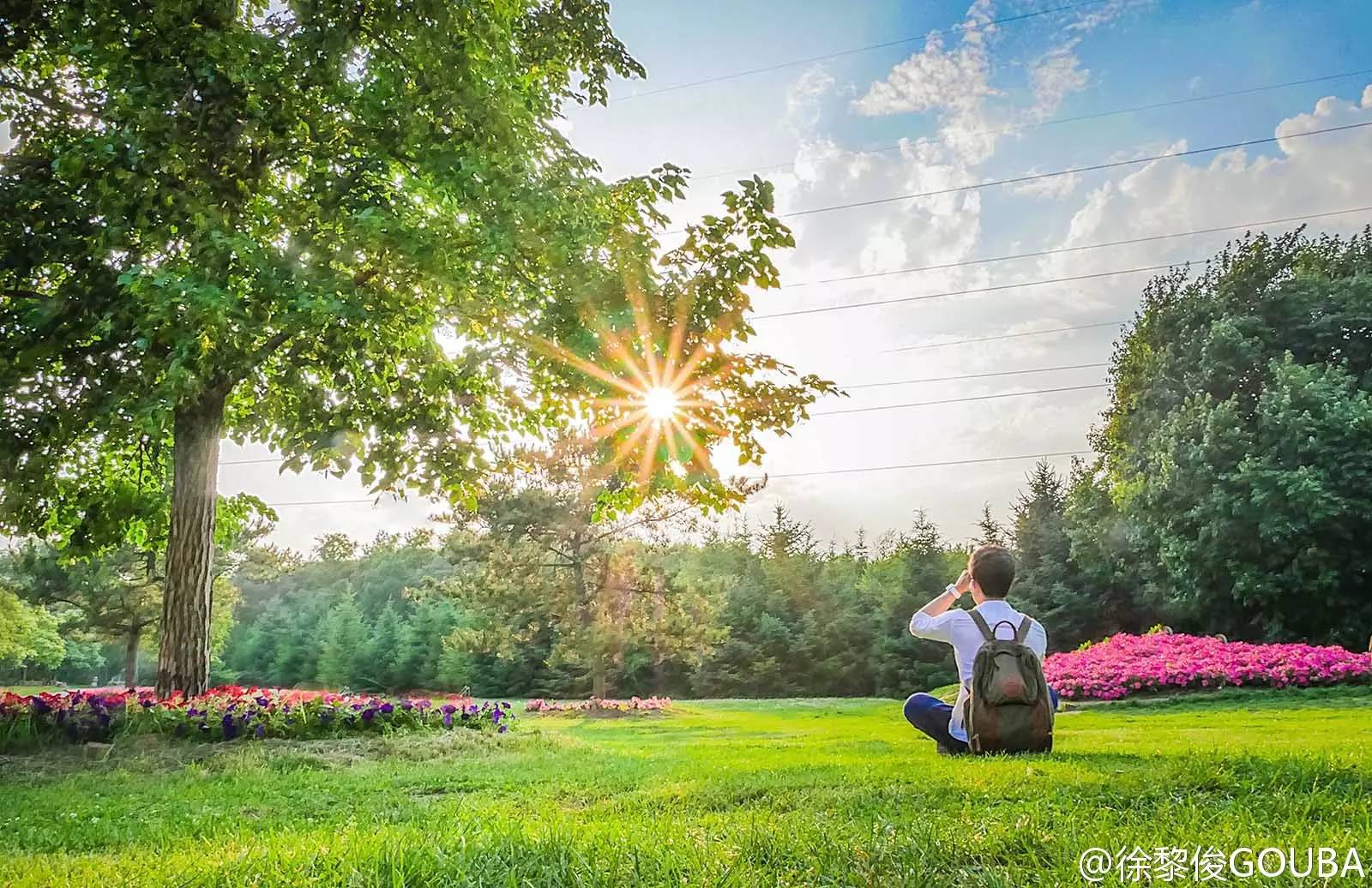 字幕君夸张图片,字幕君制作教学