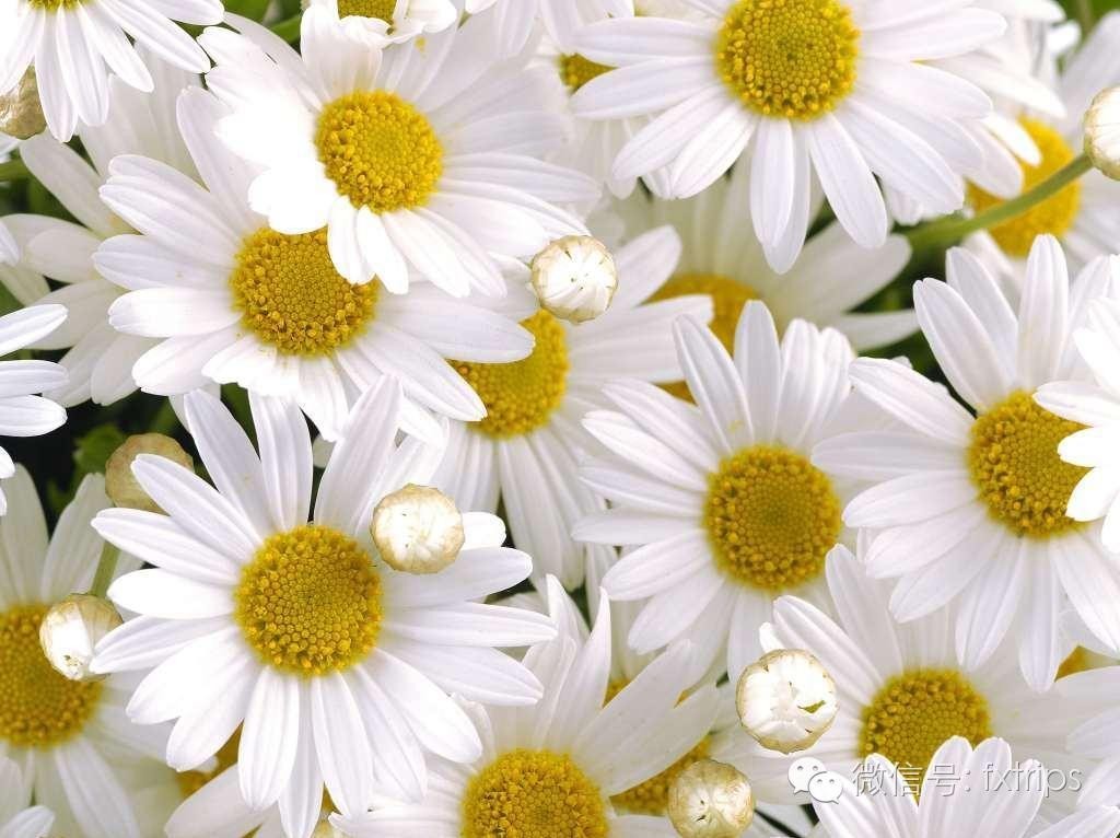 中国普通国货到国外有多火,让老外疯狂的中国国货