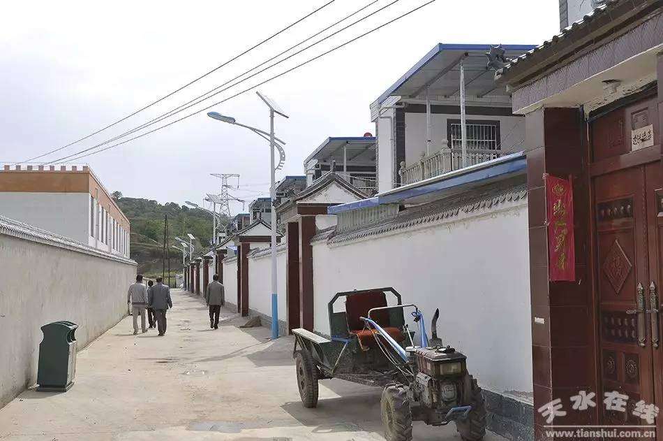 天水市麦积区最美村庄,天水市最美乡村谢沟村