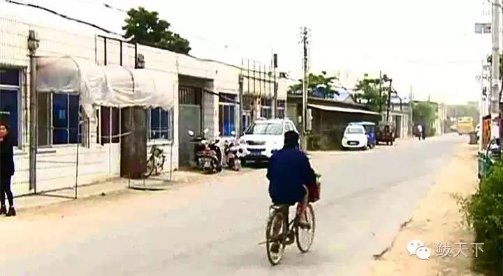 美丽乡村新建设视频,美丽乡村建设坑塘篇