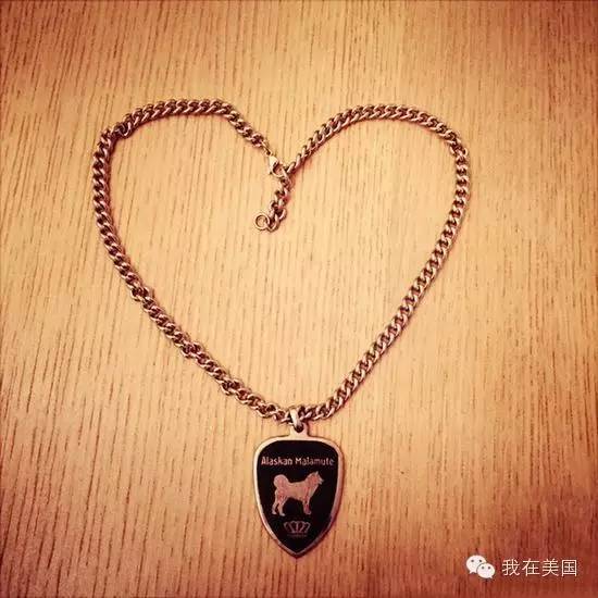 王思聪自曝女友为其堕胎又火了，但外媒只关心老公最宠的那个网红