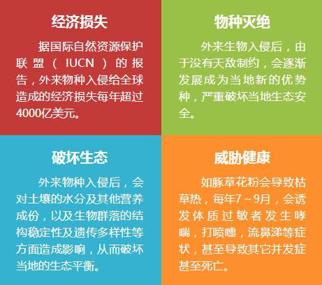海淘天价蚂蚁｜万一被咬剧烈疼痛，就像赤脚走在火炭上、铁钉扎入脚后跟！