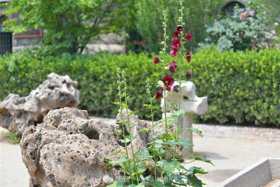 中国传统村落保护名录,走进中国乡村旅游第一村