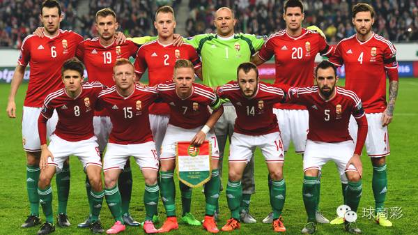 欧洲杯24强巡礼之匈牙利,2016欧洲杯葡萄牙vs匈牙利完整版