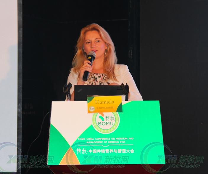 Dr.Daniela:仔猪头三天的管理及对后续生产的影响