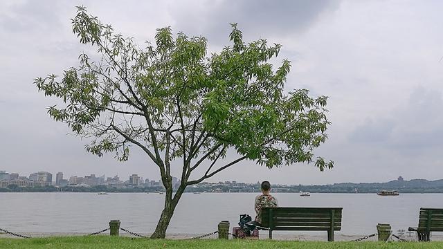荣耀V8测评,荣耀v8和荣耀v7pro平板哪个好