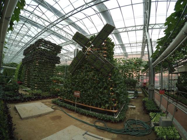 带上小蚁运动相机游潍坊（三）寿光菜博会