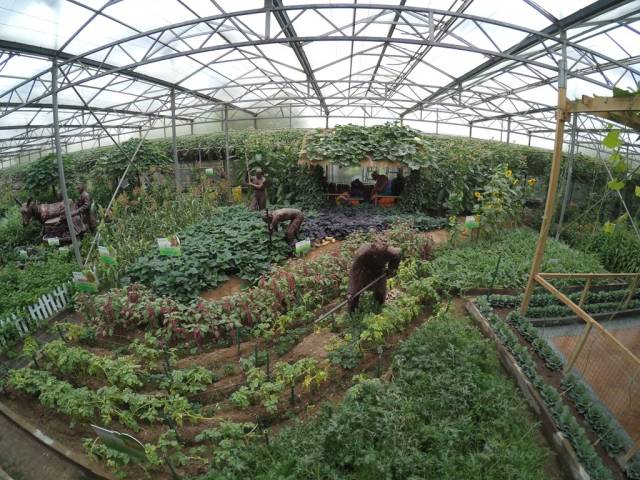 带上小蚁运动相机游潍坊（三）寿光菜博会