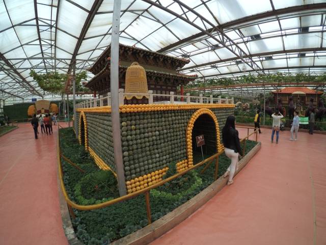 带上小蚁运动相机游潍坊（三）寿光菜博会