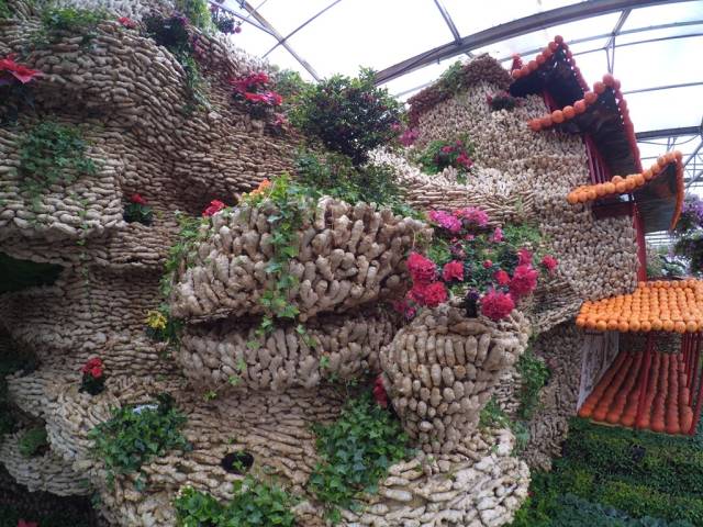 带上小蚁运动相机游潍坊（三）寿光菜博会