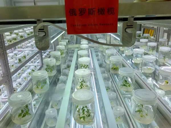 带上小蚁运动相机游潍坊（三）寿光菜博会