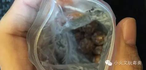 逗逼|大宝和金刚不能说的秘密!