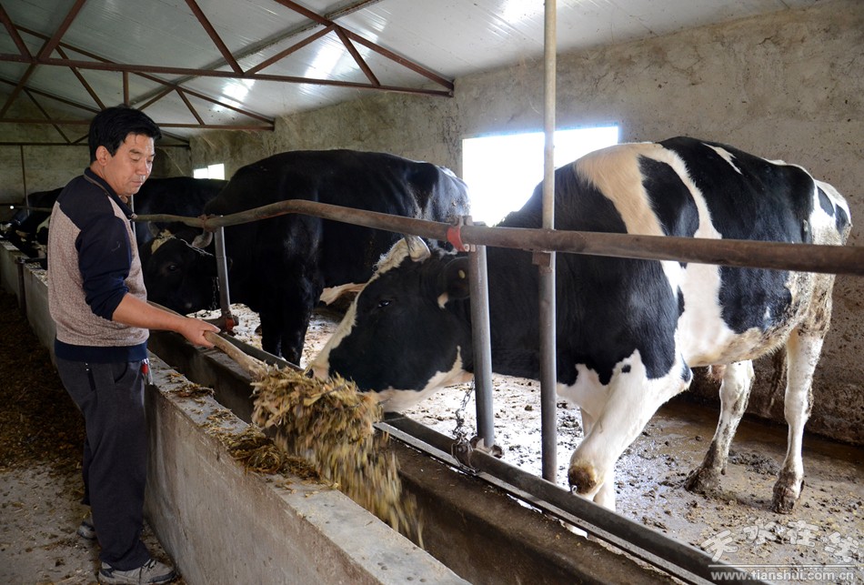 天水市麦积区最美村庄,天水市最美乡村谢沟村