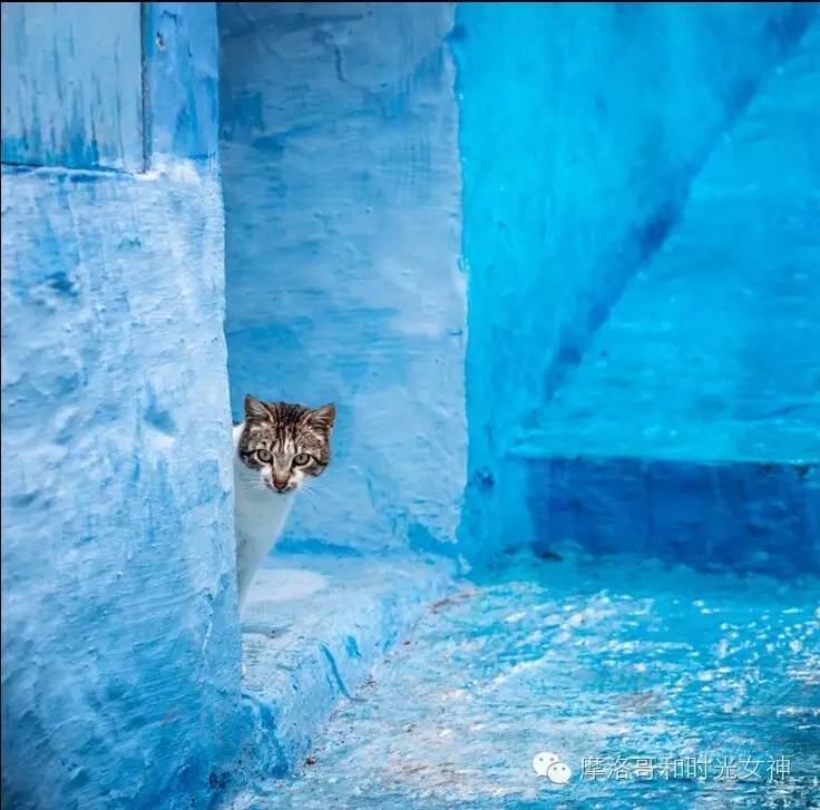 摩洛哥免签后有必要去吗,摩洛哥旅行免签