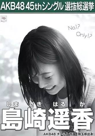 akb总选举,akb选举视频