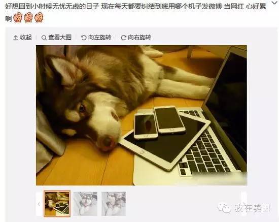 王思聪自曝女友为其堕胎又火了，但外媒只关心老公最宠的那个网红