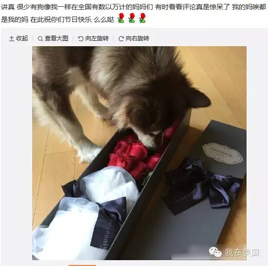 王思聪自曝女友为其堕胎又火了，但外媒只关心老公最宠的那个网红