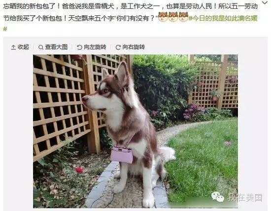 王思聪自曝女友为其堕胎又火了，但外媒只关心老公最宠的那个网红