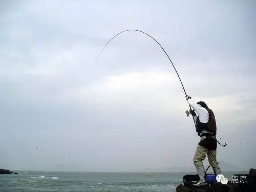 鹿原小说‖王存喜：短篇小说七章