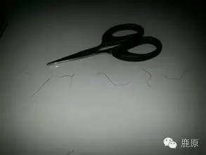 鹿原小说‖王存喜：短篇小说七章