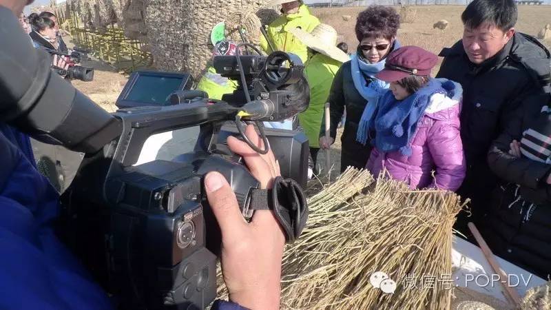盘锦稻草艺术节,芝麻开门特别节目