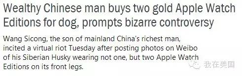 王思聪自曝女友为其堕胎又火了，但外媒只关心老公最宠的那个网红