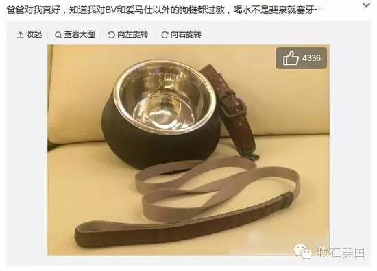 王思聪自曝女友为其堕胎又火了，但外媒只关心老公最宠的那个网红