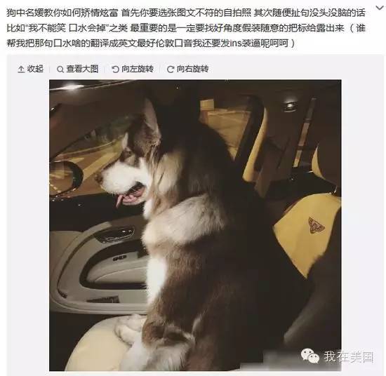 王思聪自曝女友为其堕胎又火了，但外媒只关心老公最宠的那个网红