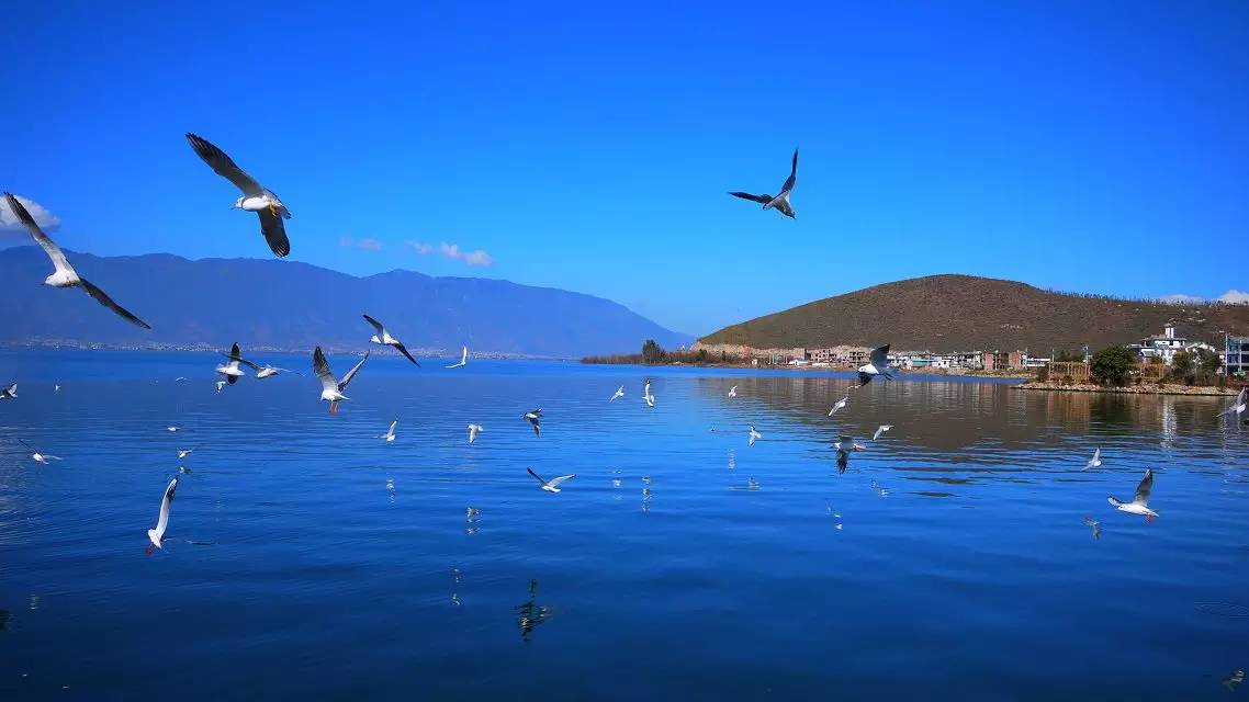 张家界到重庆自驾游攻略及费用,西安到张家界到重庆旅游攻略