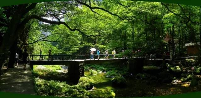 张家界到重庆自驾游攻略及费用,西安到张家界到重庆旅游攻略