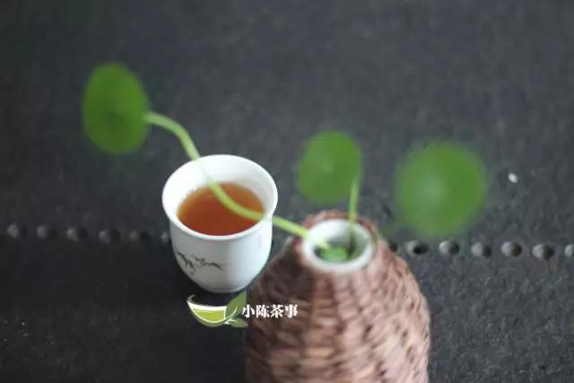 石乳武夷岩茶茶叶,石乳和奇兰