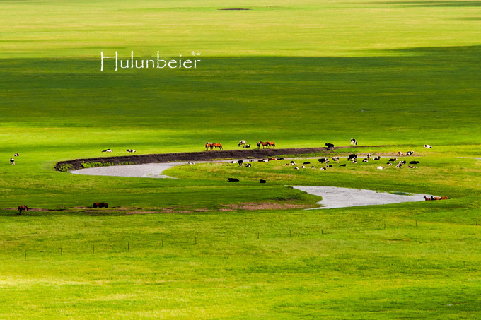 呼伦贝尔拍照攻略,呼伦贝尔美景拍照