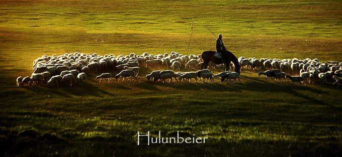 呼伦贝尔拍照攻略,呼伦贝尔美景拍照