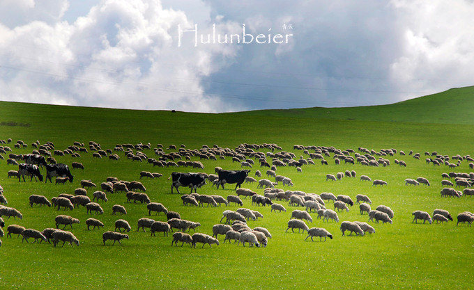 呼伦贝尔拍照攻略,呼伦贝尔美景拍照