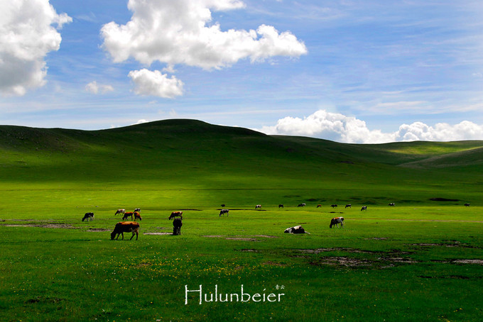呼伦贝尔拍照攻略,呼伦贝尔美景拍照