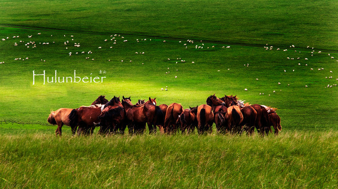 呼伦贝尔拍照攻略,呼伦贝尔美景拍照